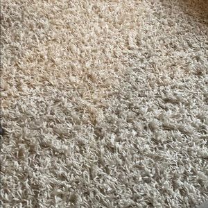 Meet your Posher, Rochelle